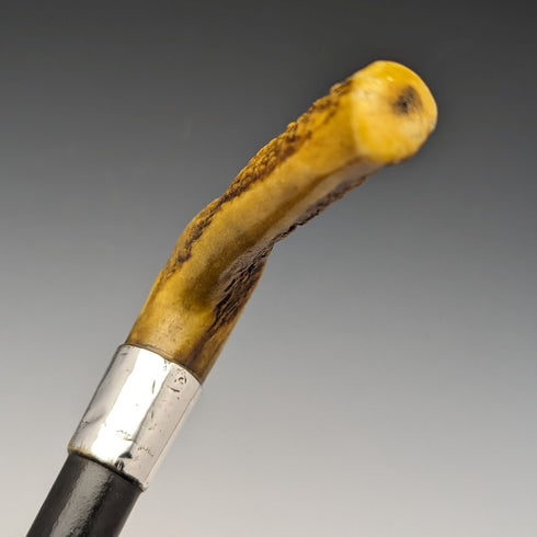 1889 British Antique Men's Walking Stick Antler Clutch Handle 91cm